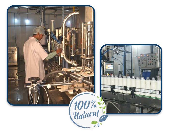 Natures Delight Milk Dairy, Best Cow milk/ Ghee in bhopal